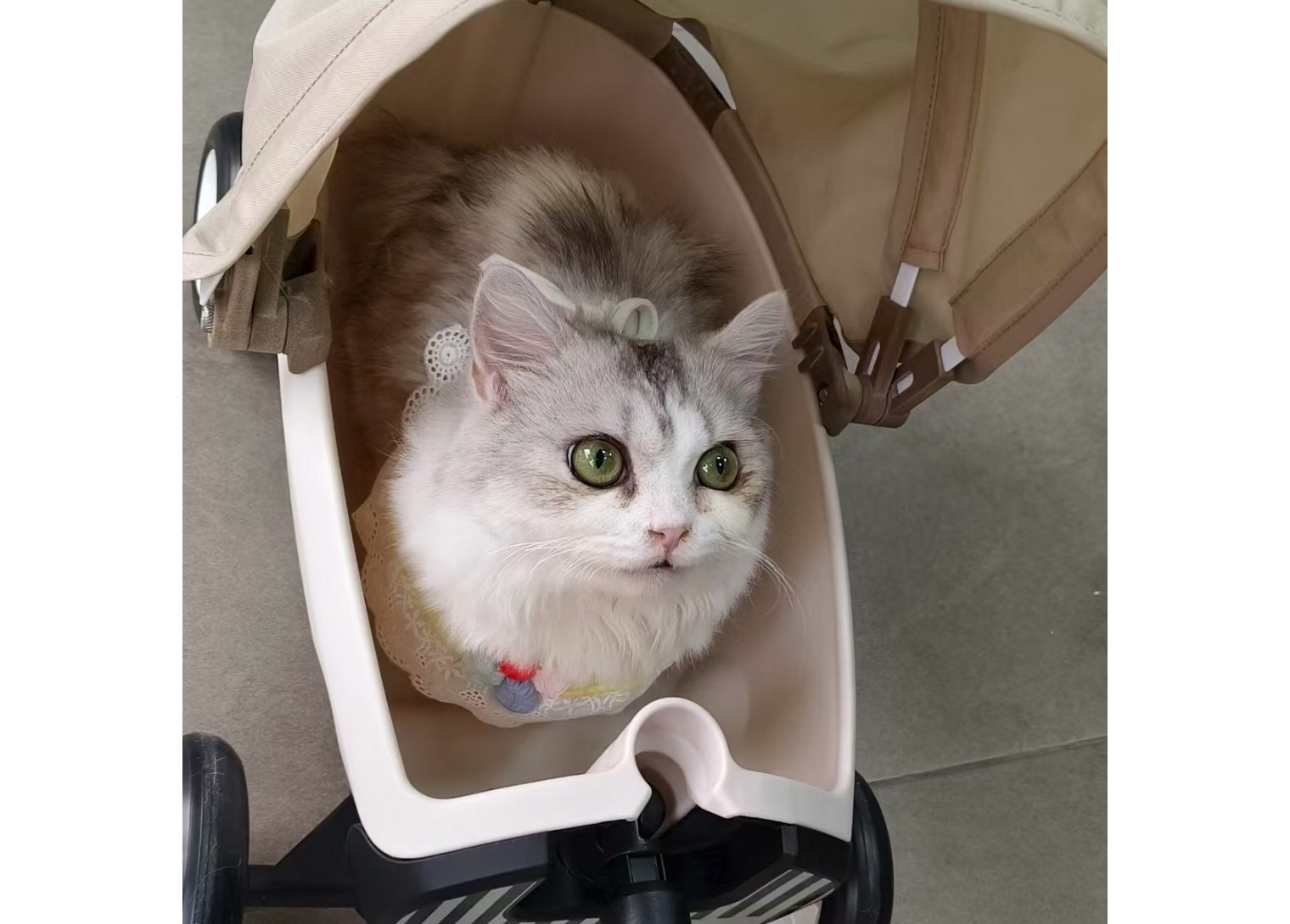 Pet Stroller