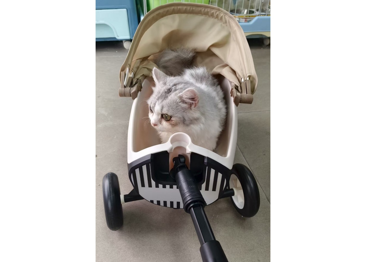Pet Stroller