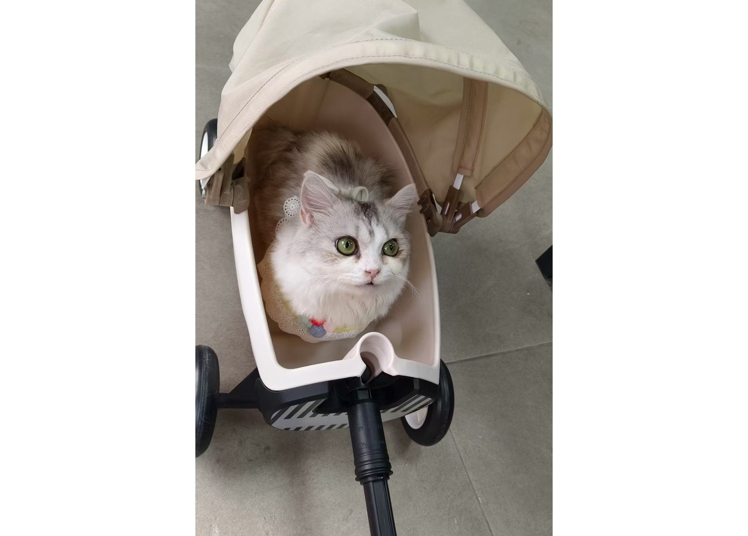 Pet Stroller
