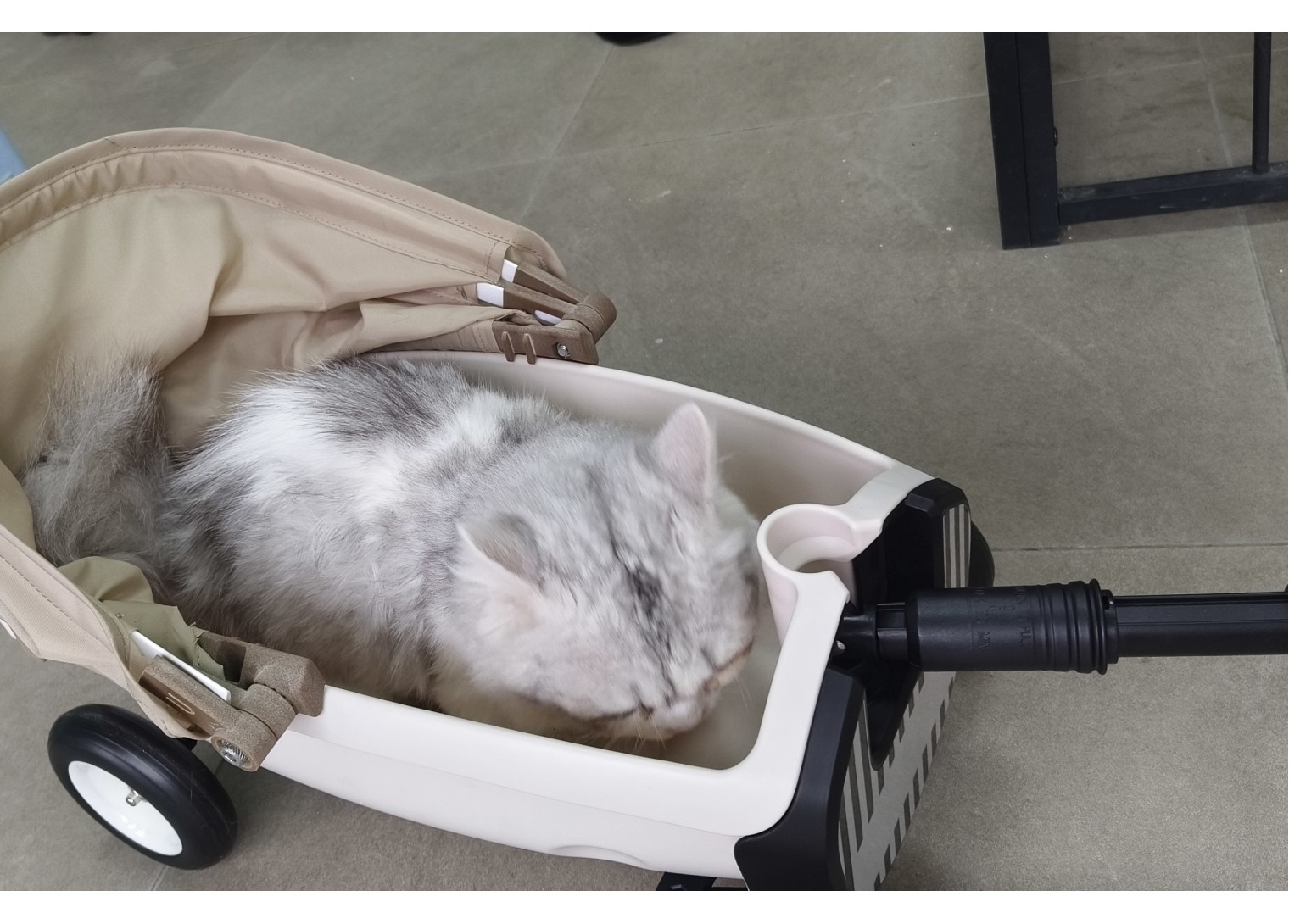 Pet Stroller